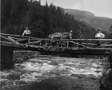 Brua Under Gjevdefossen 2 