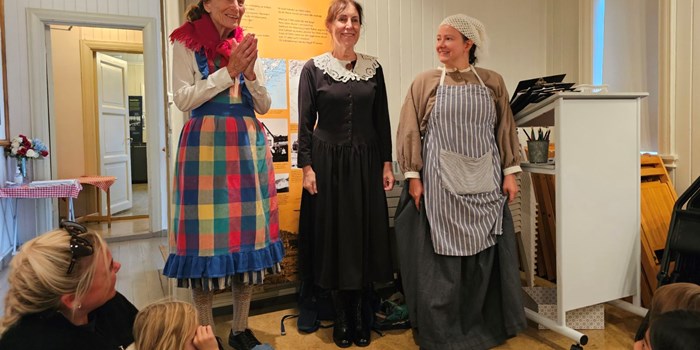 Fru Lid, frk Vigerstøl og tante Line