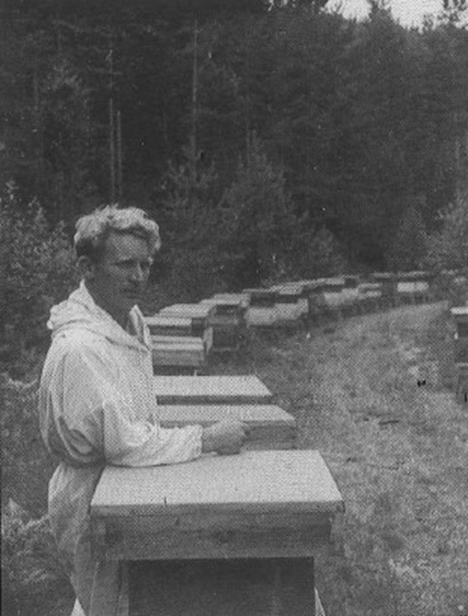 Einar Skeimo