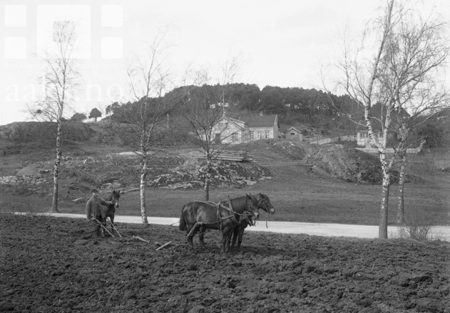 Vårpløying på Bie i Grimstad